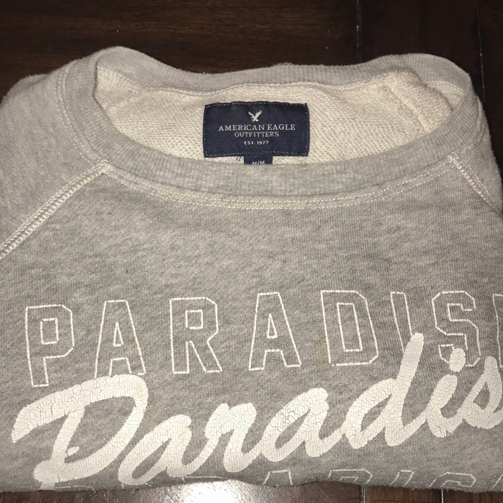 American Eagle Cropped Sweatshirt (Medium)